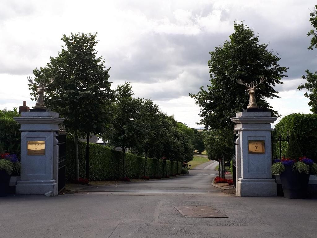 Дома для отпуска Faithlegg Estate Holiday Lodge Уотерфорд